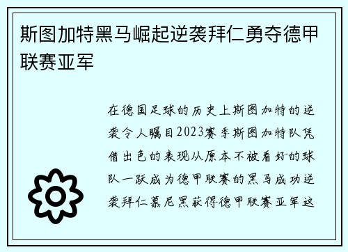 斯图加特黑马崛起逆袭拜仁勇夺德甲联赛亚军