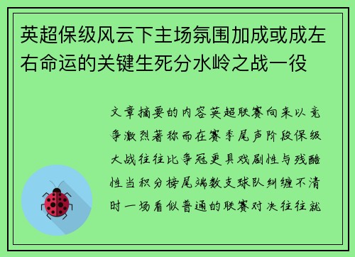 英超保级风云下主场氛围加成或成左右命运的关键生死分水岭之战一役 英超保级风云下主场氛围加成或成左右命运的关键生死分水岭之战一役