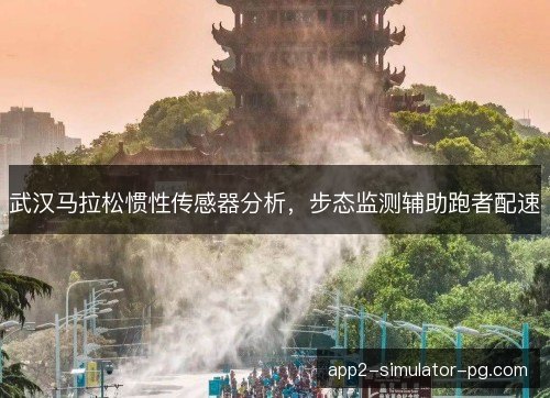 武汉马拉松惯性传感器分析，步态监测辅助跑者配速